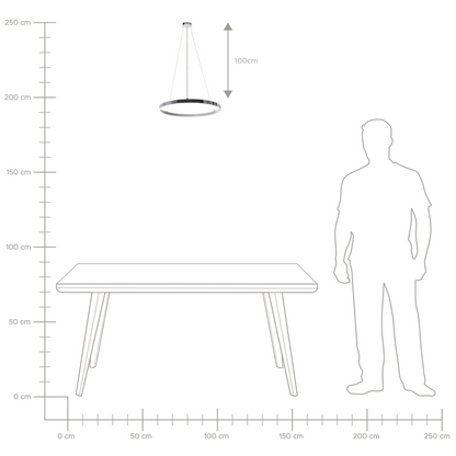 Pendant Lamp 40cm Ring Integrated LED Silver Aluminium