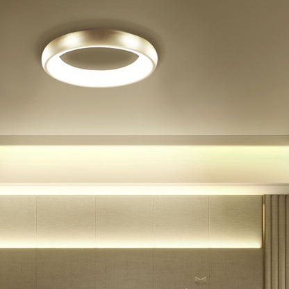 Lighting Gold Ceiling Lamp With Integrated LED Round Modern