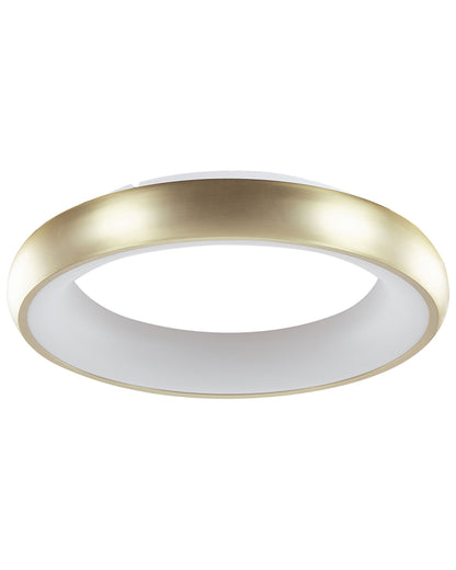 Lighting Gold Ceiling Lamp With Integrated LED Round Modern