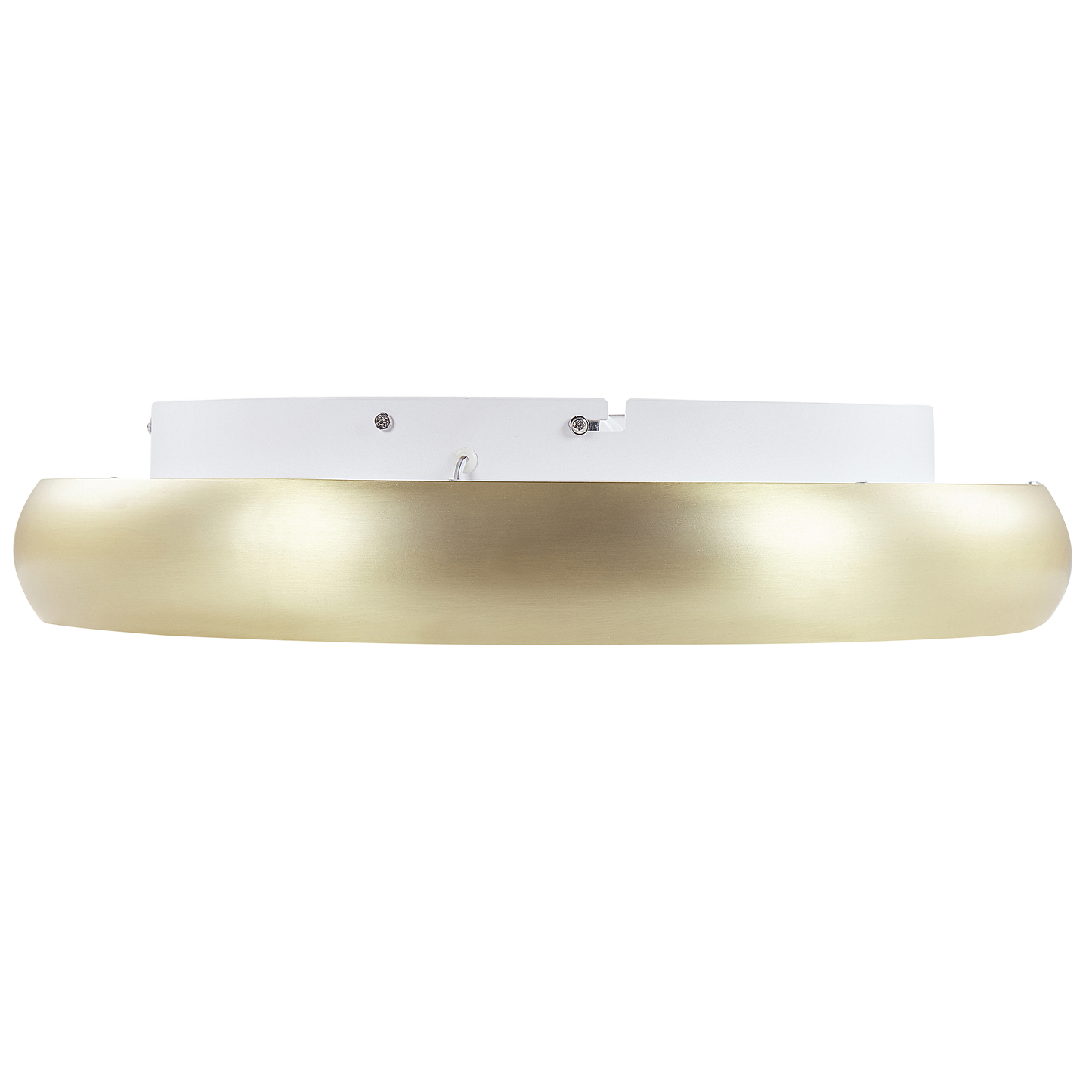 Lighting Gold Ceiling Lamp With Integrated LED Round Modern