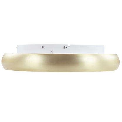 Lighting Gold Ceiling Lamp With Integrated LED Round Modern