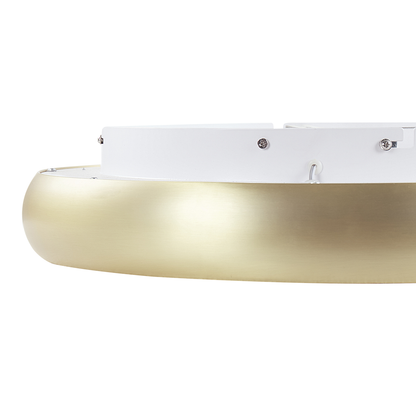 Lighting Gold Ceiling Lamp With Integrated LED Round Modern