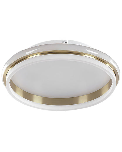 Ceiling LED Ring Light 64cm Gold Metal Acrylic Opal Shade Warm White Flush Mount
