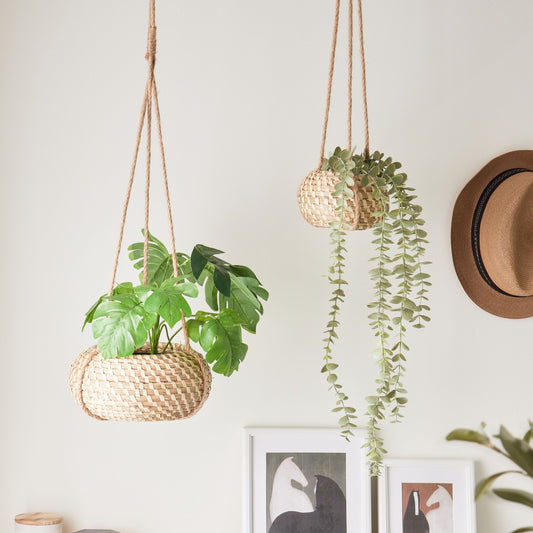 Seagrass Co Hanging Plant Pots Set of 2 Boho Style 27 x 86cm and 22 x 69cm Natural Seagrass