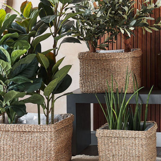 Natural Seagrass Planter Set Of 3 23 x 34, 27 x 36, 30 x 45cm