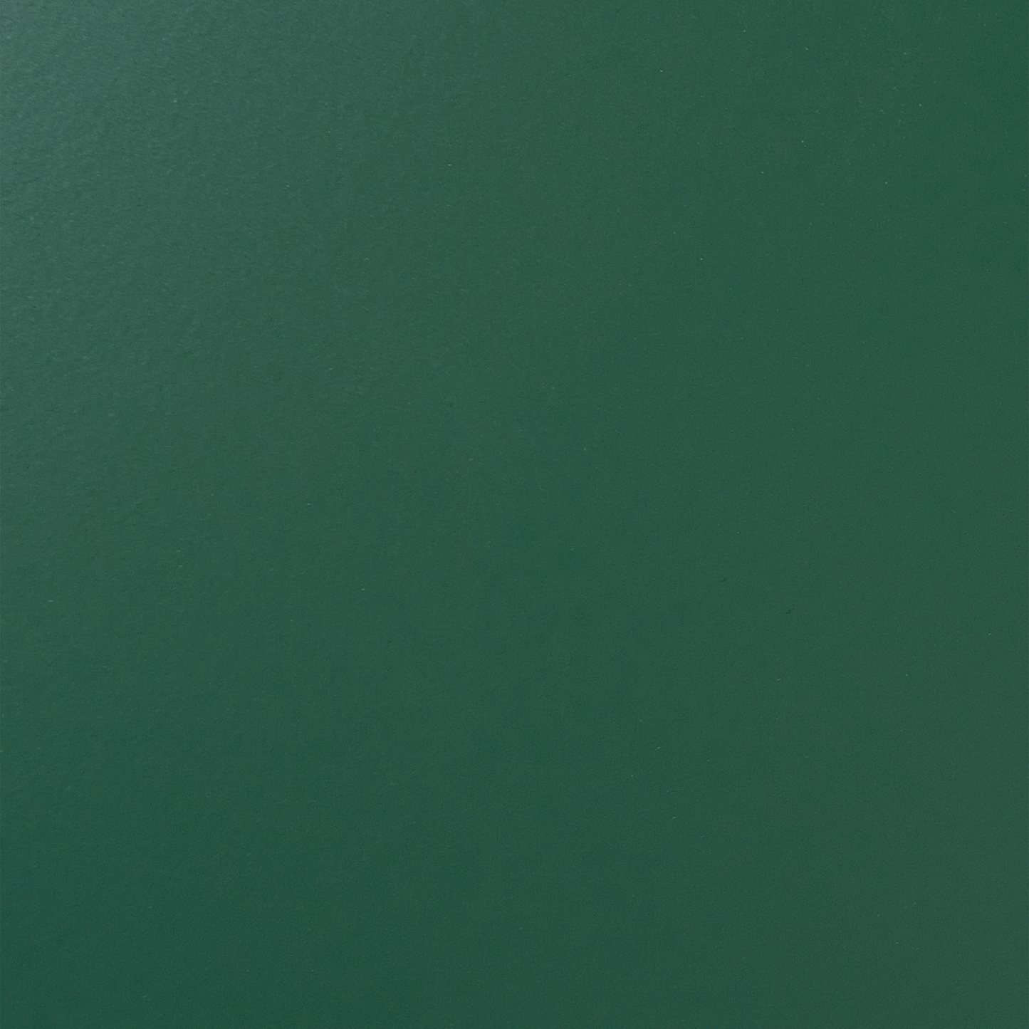 Green Steel Two-Door Sideboard For Home Office