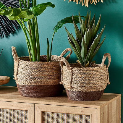 Natural Seagrass Plant Baskets Set of 2 With Handles