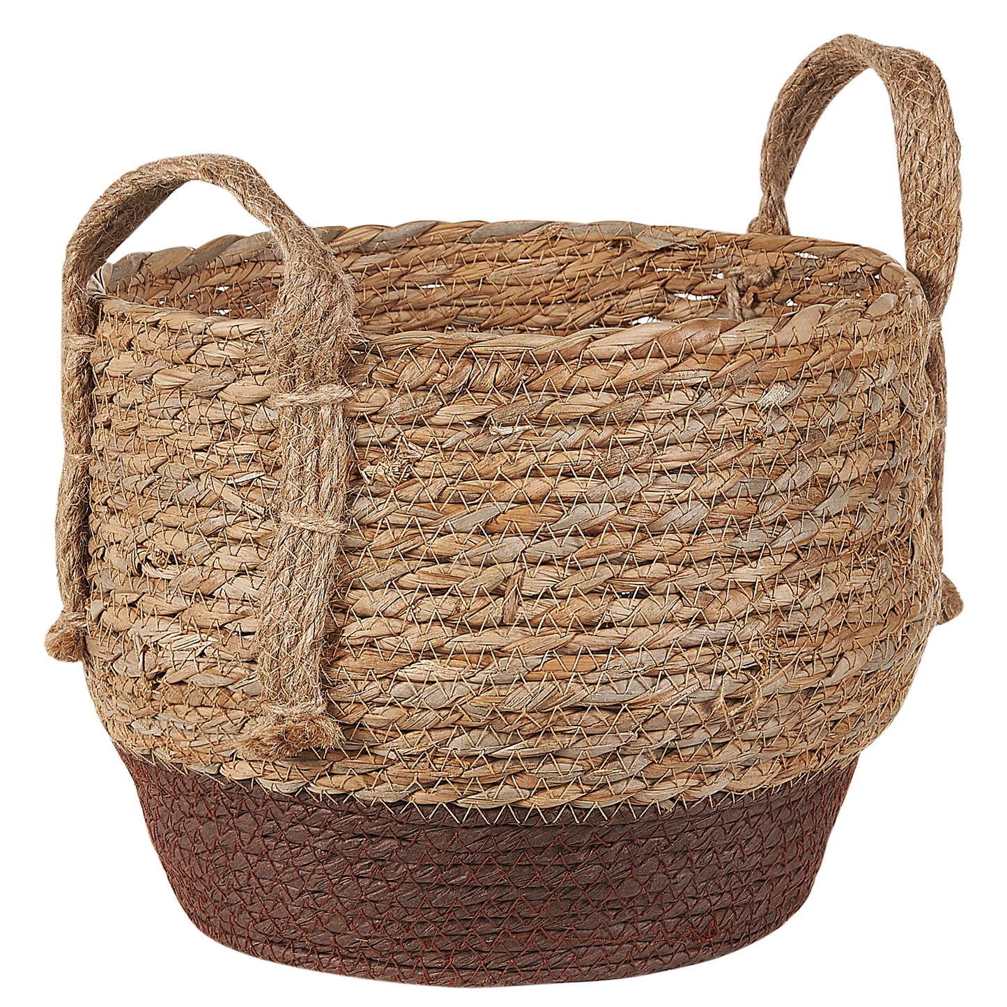 Natural Seagrass Plant Baskets Set of 2 With Handles