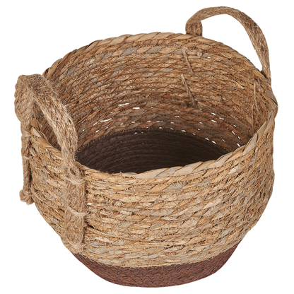 Natural Seagrass Plant Baskets Set of 2 With Handles