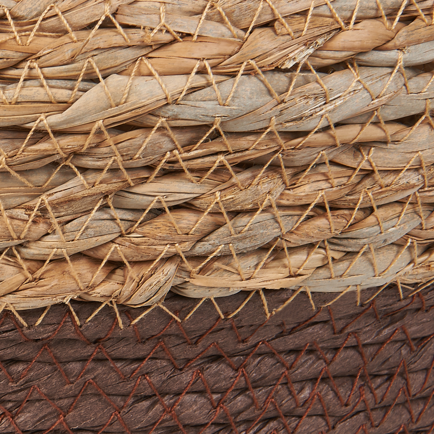 Natural Seagrass Plant Baskets Set of 2 With Handles