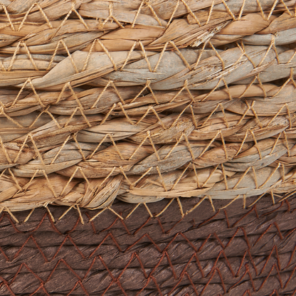 Natural Seagrass Plant Baskets Set of 2 With Handles