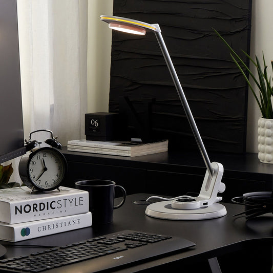 LED Desk Lamp Silver With Adjustable Arm Dimmer Color Temperature USB Port