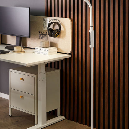 Floor LED Lamp 148cm Ring Dual Light Sources Dimmable White For Study And Home Office