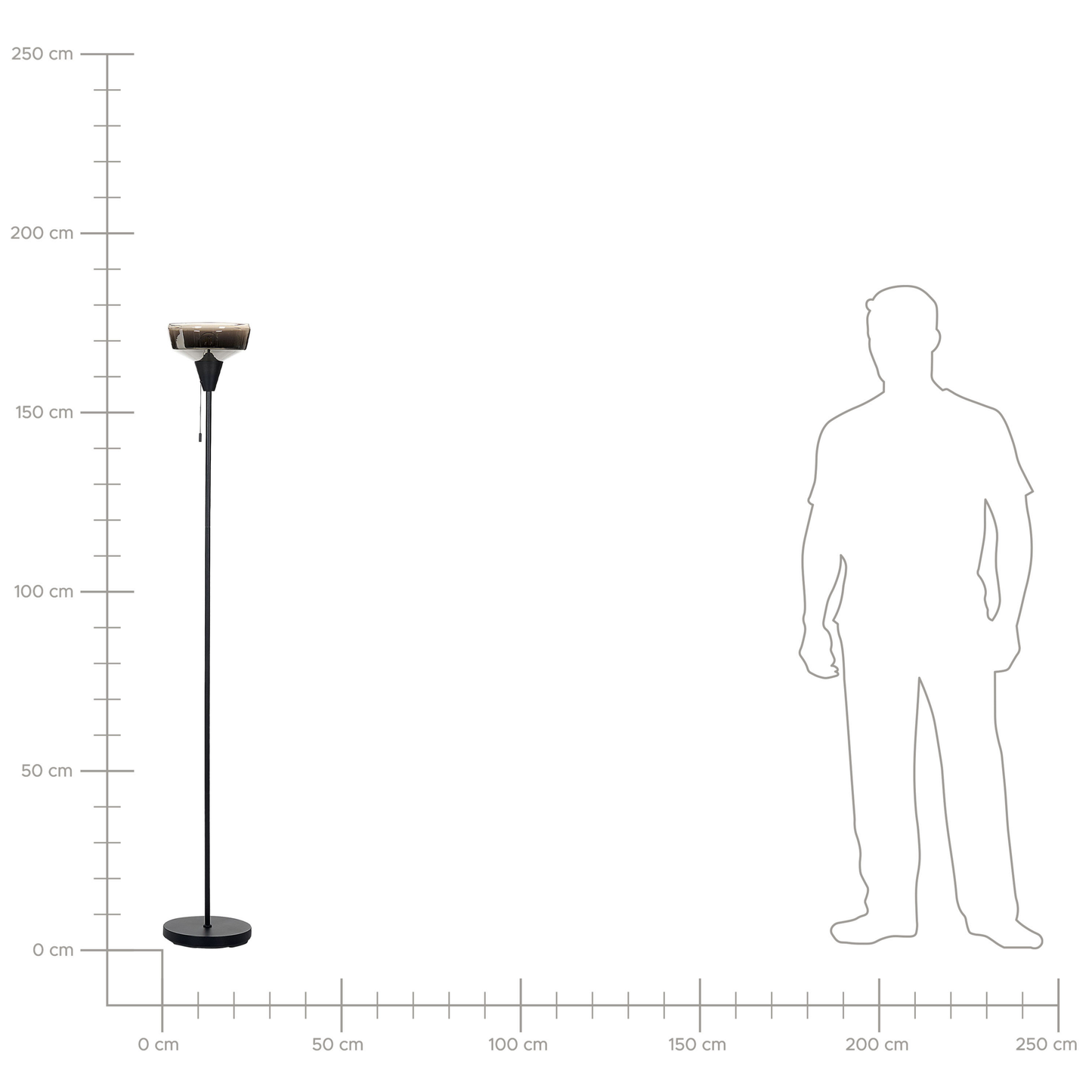 Floor Lamp Black Silver Metal Base Glass Smoked Shade 154cm