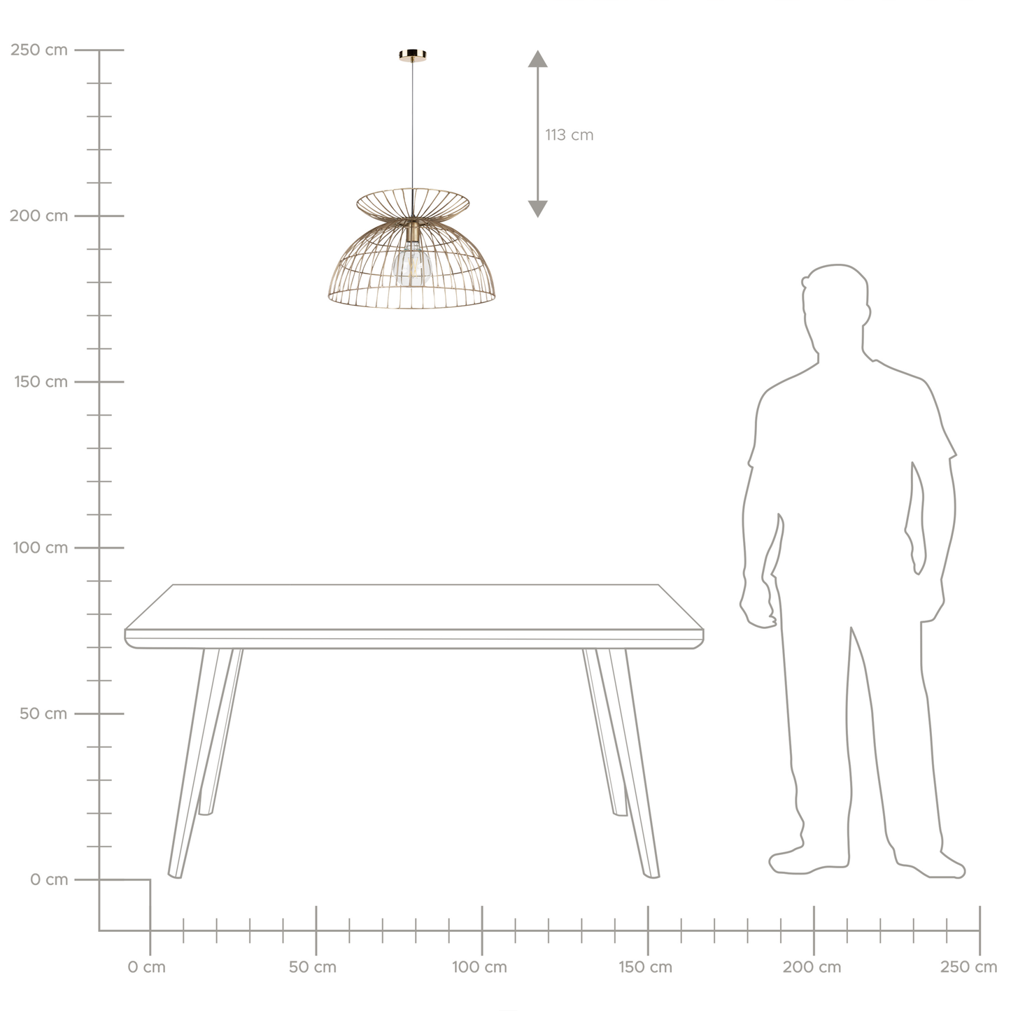 Brass Cage Pendant Lamp Openwork Round Shade
