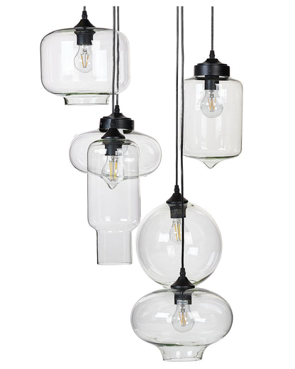 Pendant Lamp 6 Light Transparent Glass Shades Black Iron