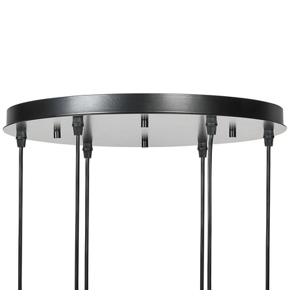 Pendant Lamp 6 Light Transparent Glass Shades Black Iron