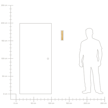 Outdoor LED Wall Light Gold 30cm Steel Acrylic Modern Design