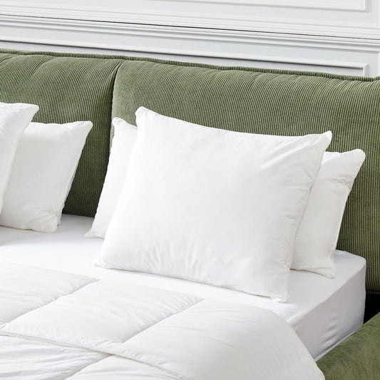 Bed Pillow White Lyocell Japara Cotton 50 x 60 High Profile
