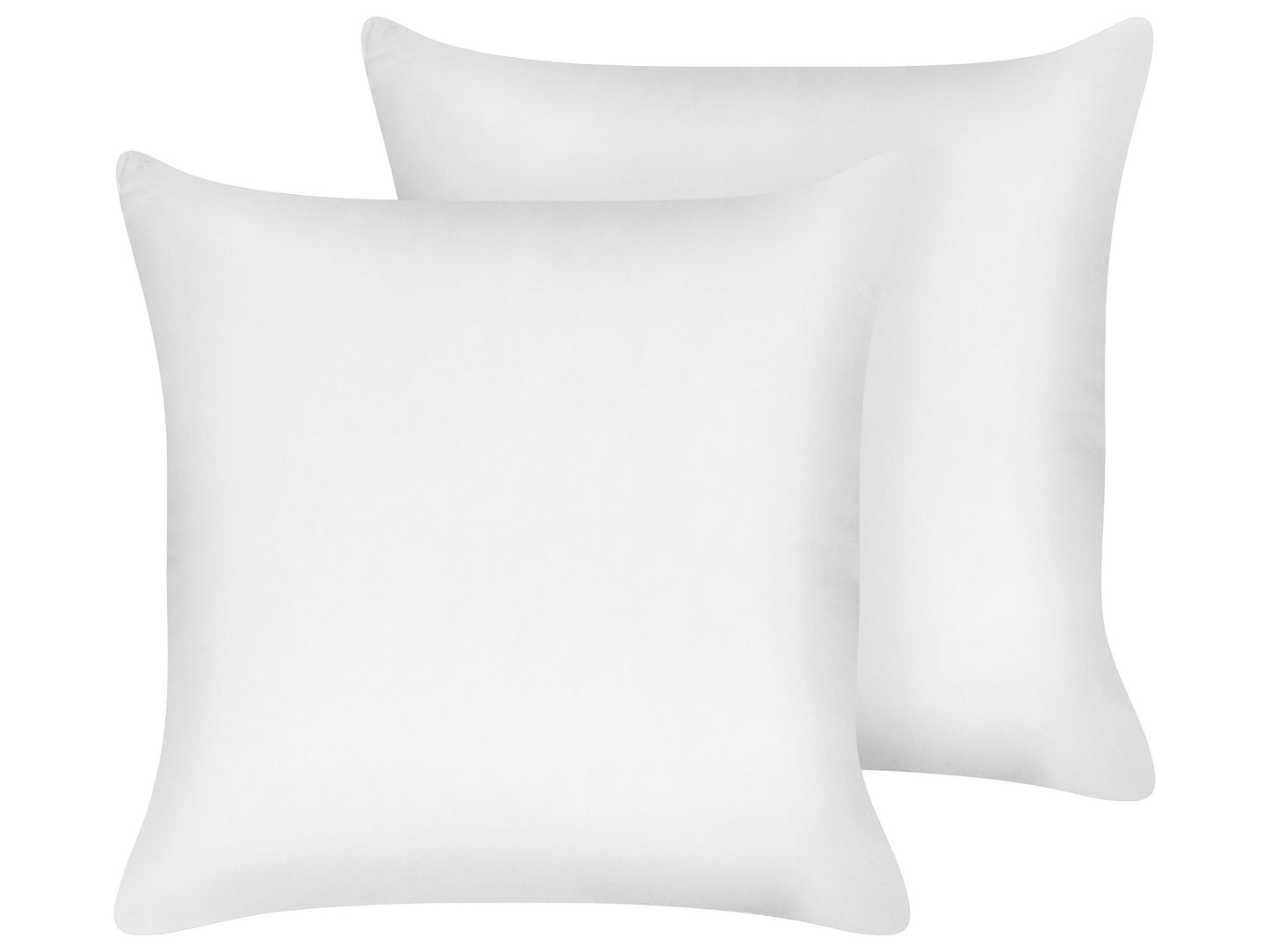 2 Pack Japara Cotton Lyocell Pillows 80 x 80 Low Profile White