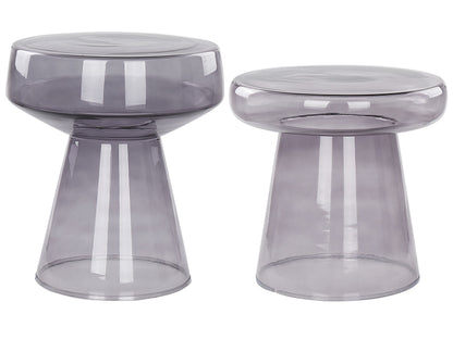 Set of 2 Transparent Grey Glass Side Tables 37 x 37 x 43cm