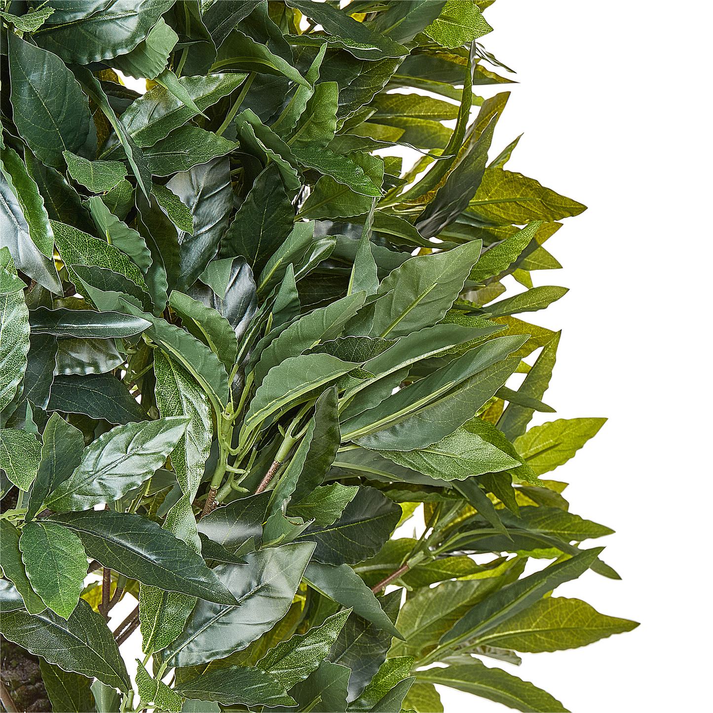 Laurel Living Lifelike Artificial Potted Plant 160cm Green and Black