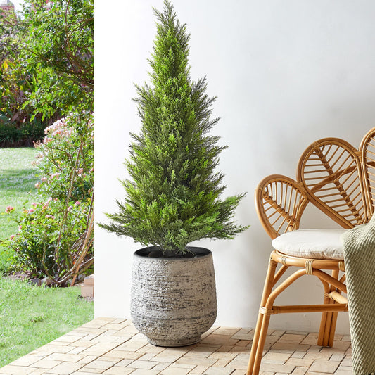 Cedar Tree 120cm Indoor Outdoor Green Real Wood Trunk