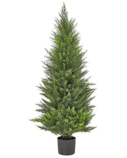 Cedar Tree 120cm Indoor Outdoor Green Real Wood Trunk