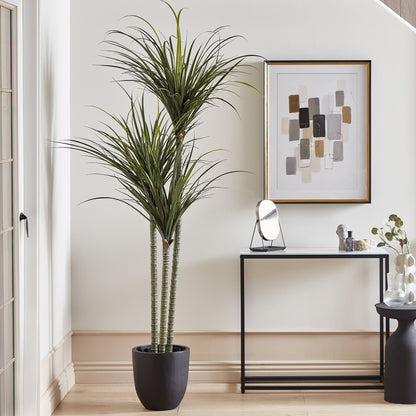 Luxe Dracaena Tall Artificial Plant 198cm In Pot Green Indoor Decor For Living Rooms