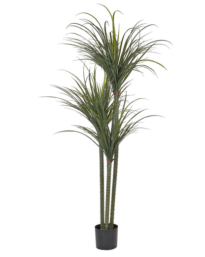 Luxe Dracaena Tall Artificial Plant 198cm In Pot Green Indoor Decor For Living Rooms