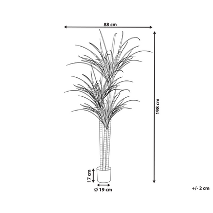 Luxe Dracaena Tall Artificial Plant 198cm In Pot Green Indoor Decor For Living Rooms