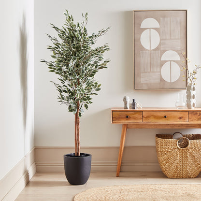 Living Artificial Ficus Tree 167cm Green and Black Indoor Decorative Plant