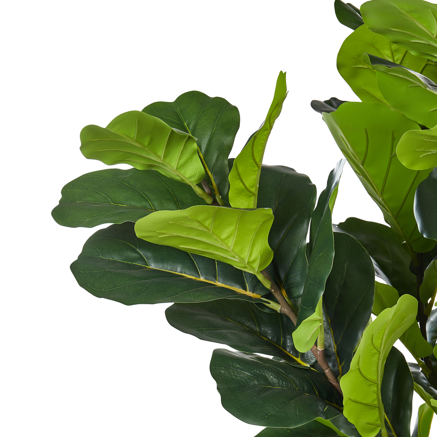 Living Artificial Fig Tree 162cm Green and Black