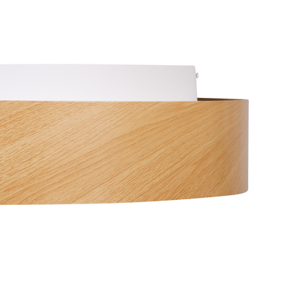 Ceiling Lamp Integrated LED Round Dimmer Remote Light Brown