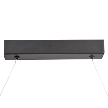 Pendant Lamp Black Metal Integrated LED Twisted Wave Modern Hanging Light