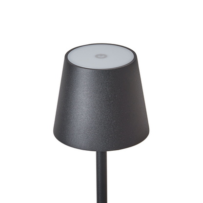 Black Iron Floor Lamp Indoor Outdoor Modern With Touch Switch Three Temperature Modes USB Charging