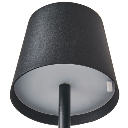 Black Iron Floor Lamp Indoor Outdoor Modern With Touch Switch Three Temperature Modes USB Charging