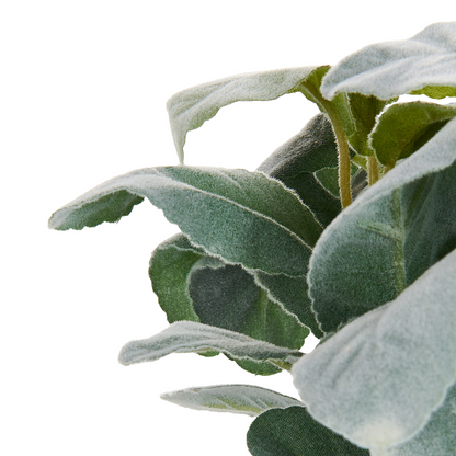Lambs Ear Faux Plant 30cm Green Indoor Decor