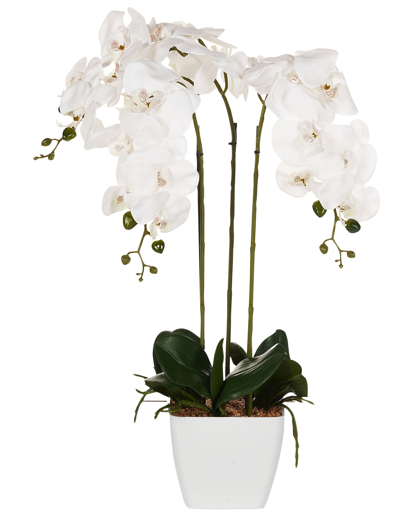 Orchidea Faux Orchid Plant 59cm White and Green Decor