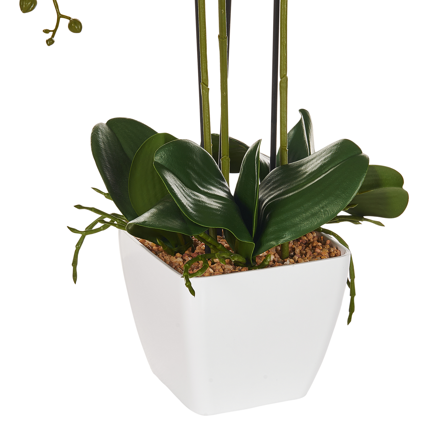 Orchidea Faux Orchid Plant 59cm White and Green Decor