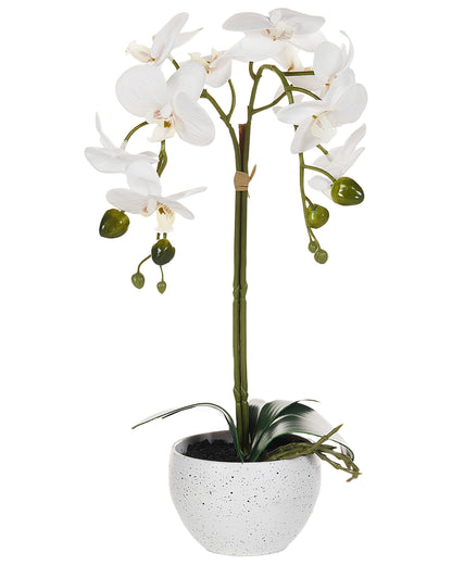 Orchidea Faux Orchid Potted Plant 42cm White Green Decor