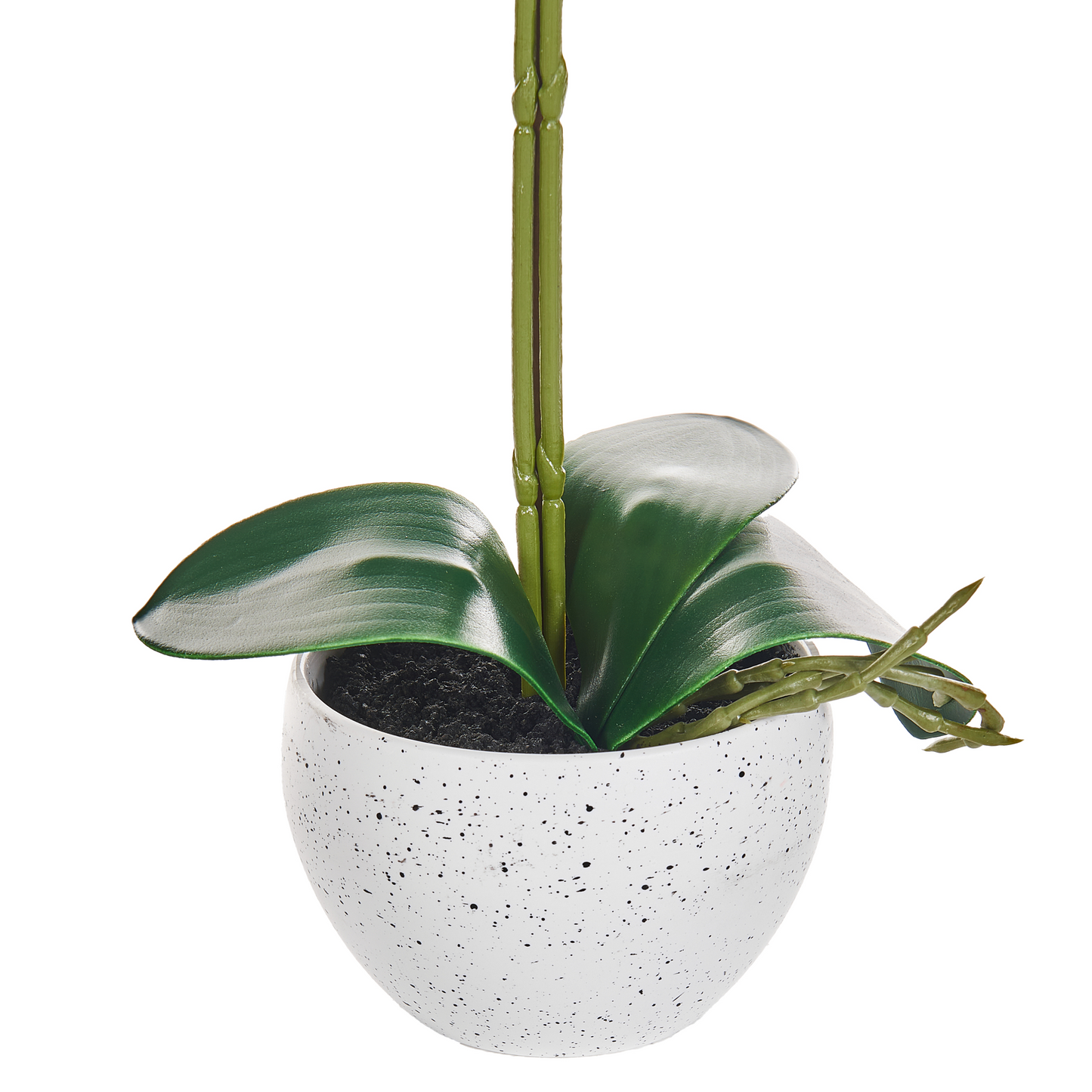 Orchidea Faux Orchid Potted Plant 42cm White Green Decor