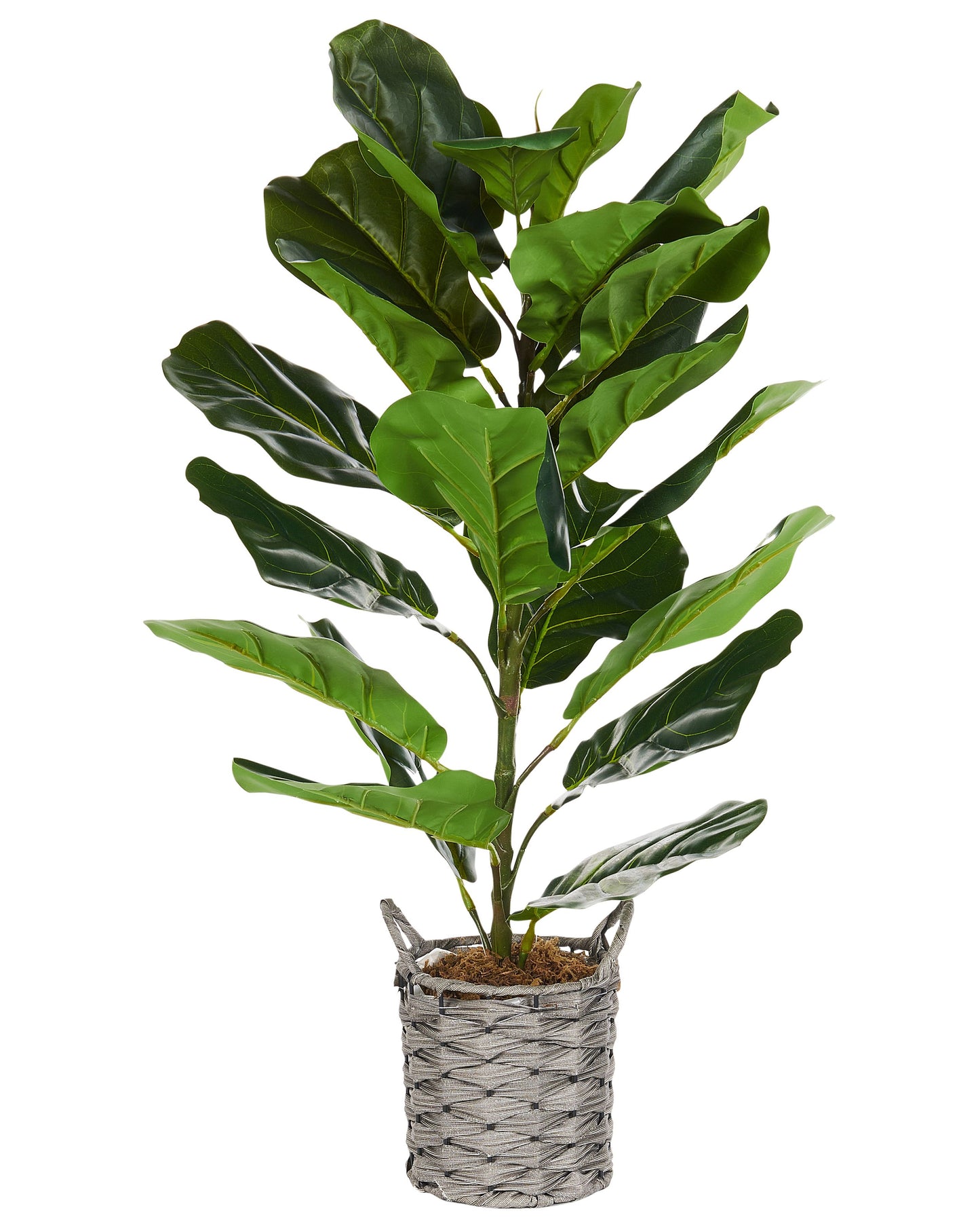 Fiddle Leaf Tree 72cm Green Potted Plant Realistic Leaves