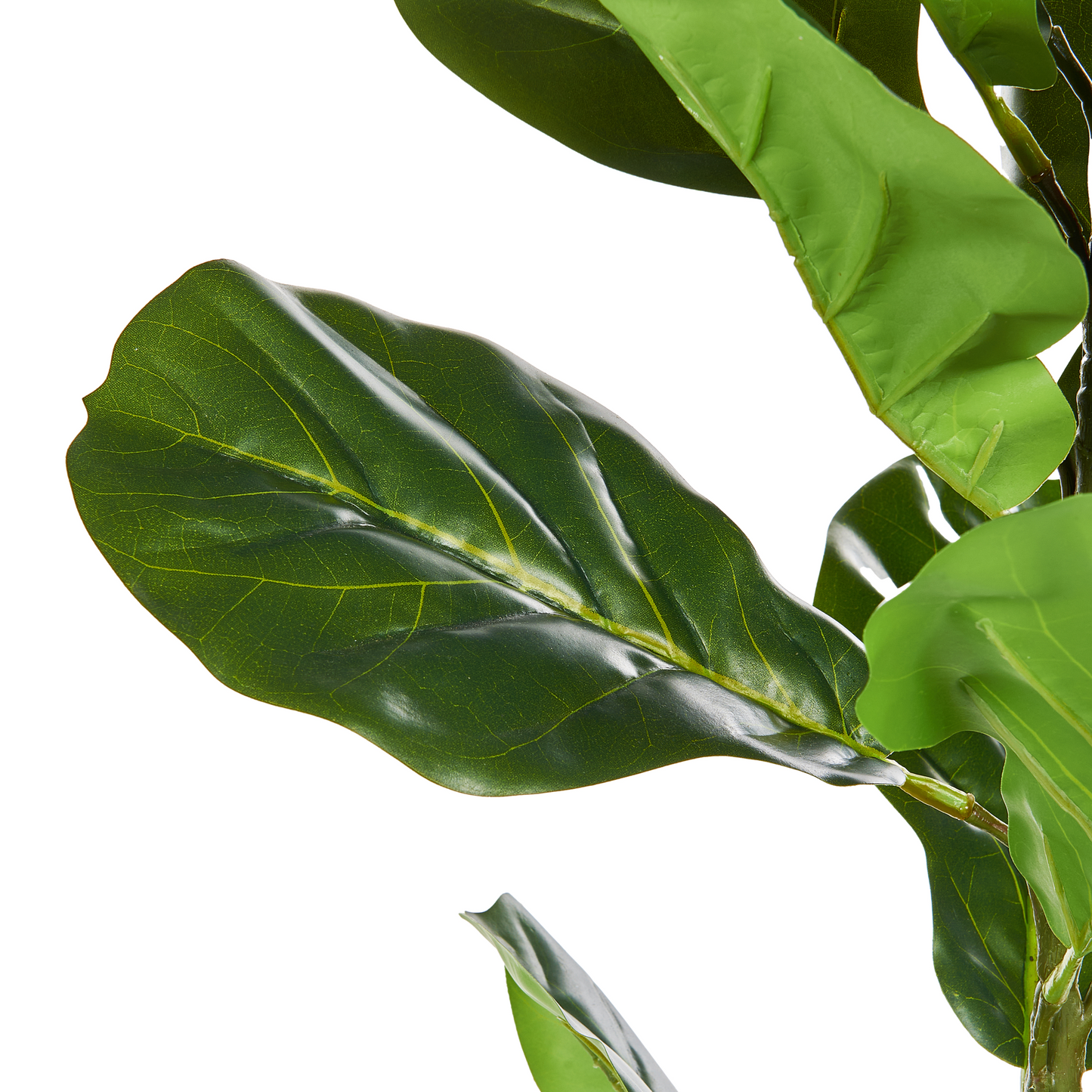 Fiddle Leaf Tree 72cm Green Potted Plant Realistic Leaves