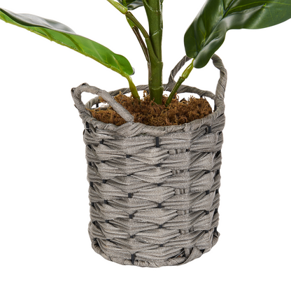 Fiddle Leaf Tree 72cm Green Potted Plant Realistic Leaves