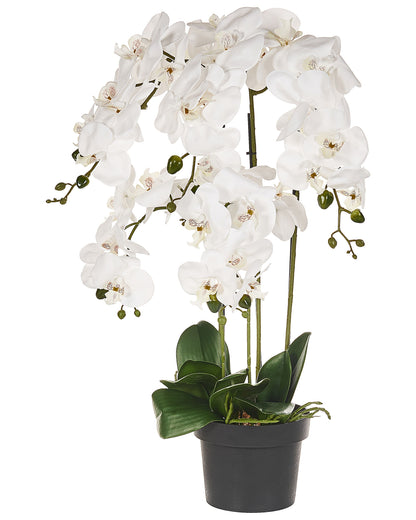 Orchidea Faux Orchid Plant 63cm White Green Decor