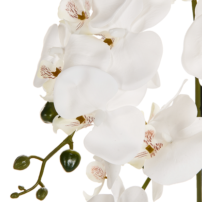 Orchidea Faux Orchid Plant 63cm White Green Decor