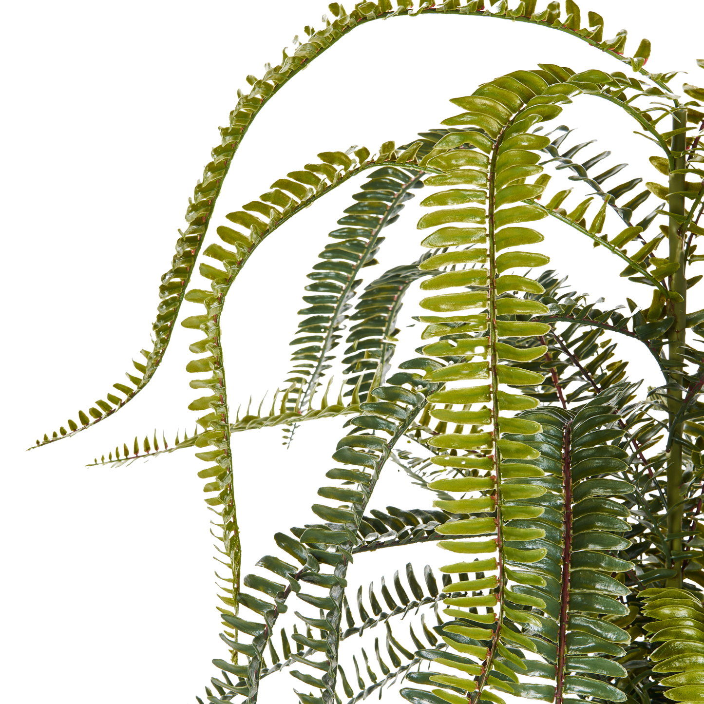 Lifelike Fern Artificial Plant 105cm Green and Black