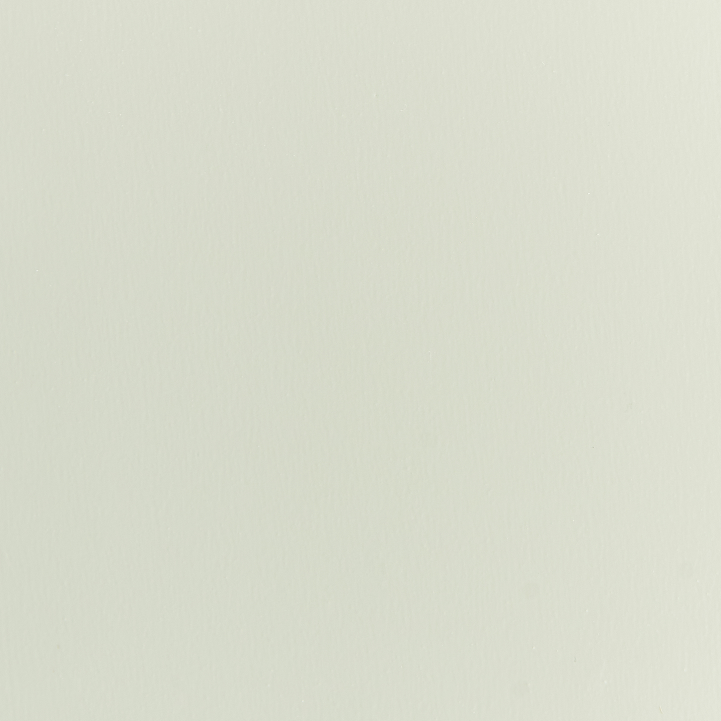 DinoNest Dinosaur Wall Shelf Light Green MDF