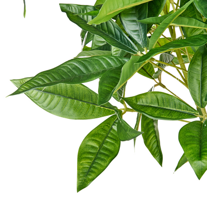 120cm Green Pachira Tree in Black Pot Braided Root Decor